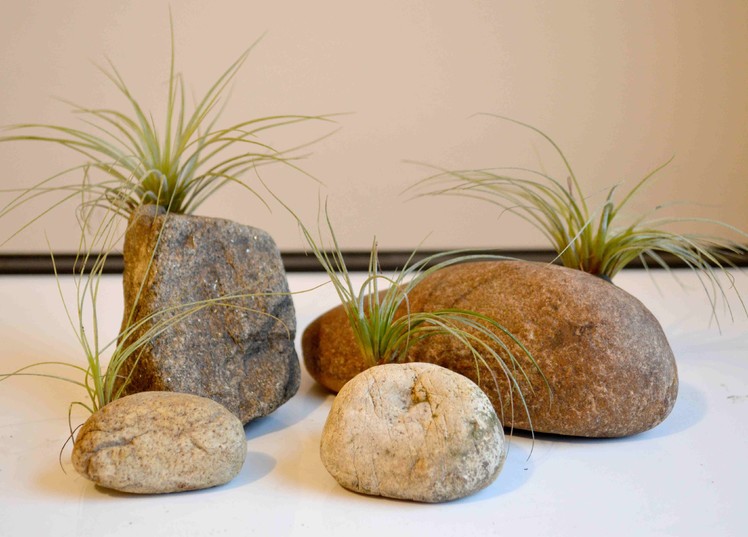 How To Make Stone Air Plant Holders With Polymer Clay