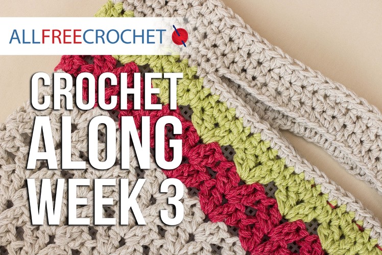 Crochet Along: Week 3 - The Trim and Handles