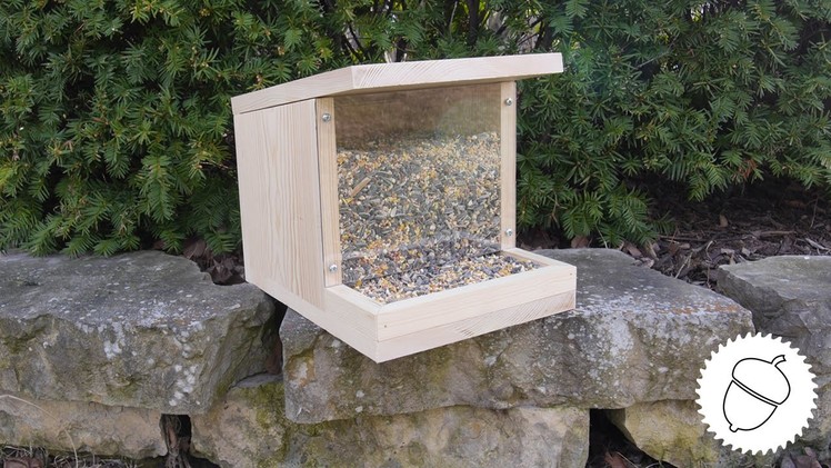 How to Make a Bird Feeder | Great Spring Project!