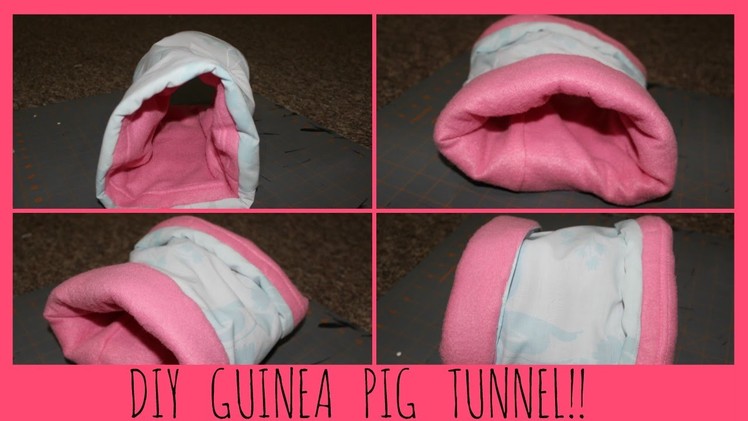 How To Make a Guinea Pig Tunnel | DIY Guinea Pig Tunnel | Small Animal Tunnel!