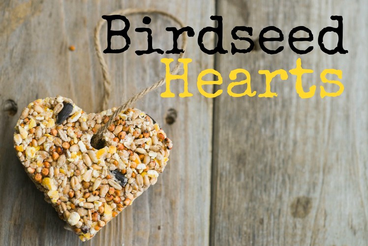 How to Make Birdseed Hearts