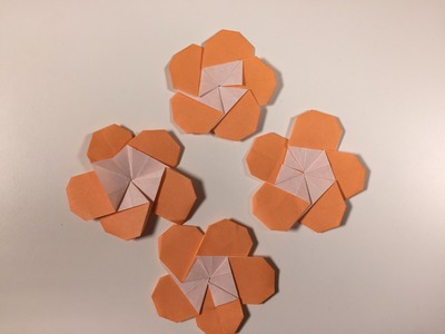How to Origami Flower : Plum