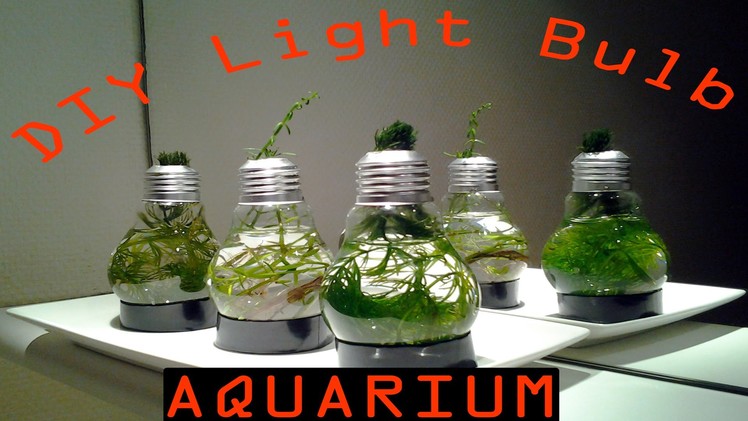 DIY Light Bulb Aquarium