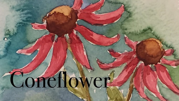 How to paint a coneflower flower in watercolour watercolor