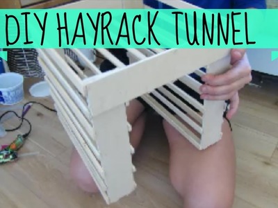 *Inspired By Imy's Animals* DIY Hay Rack Tunnel | For Guinea Pigs.Rabbits | Kat's Animal Channel