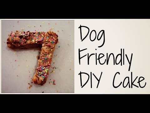DIY Dog Friendly Birthday Cake | Zac & Lucy's Birthday