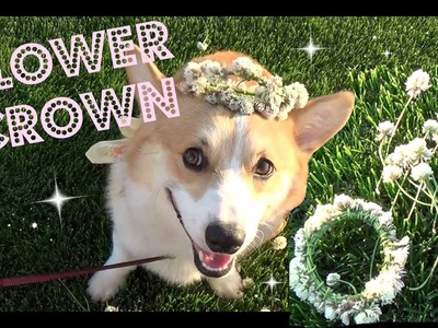 ♥ DIY ♥ Flower Crown for You & Your Pet!