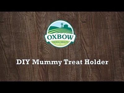 DIY Mummy Treat Holder (great for rabbits, guinea pigs, and other small pets)