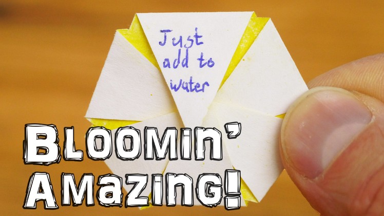 Just Add Water - Blooming Flower Trick