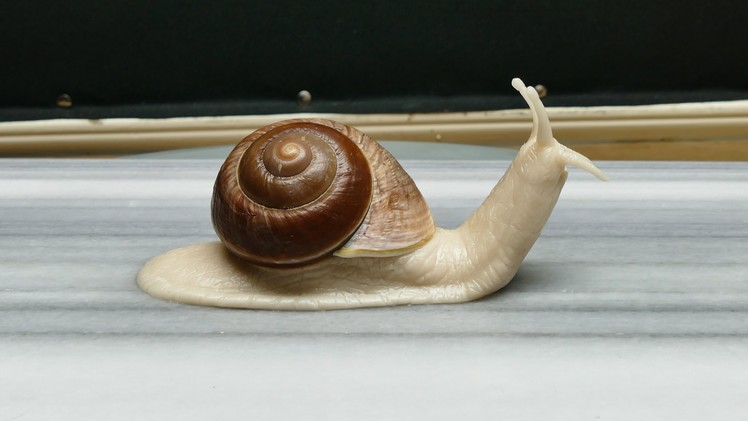 Sculpting a Snail (body) - Polymer Clay