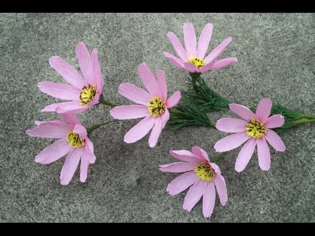 Cosmos flower with crepe paper