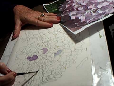 Watercolor Instruction by Cia Price, "Pink Hydrangea" Clip 1