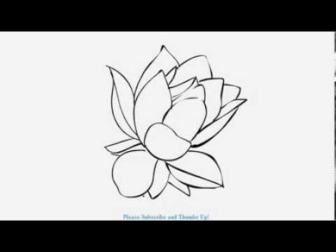 How to Draw a Beautiful Lotus Flower