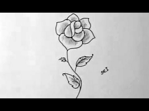 How to draw a beautiful rose flower in Simple way with shading