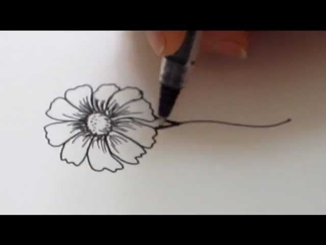 How To Draw a flower - Daisy Tutorial