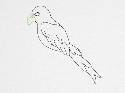 How to draw a PARROT step by step