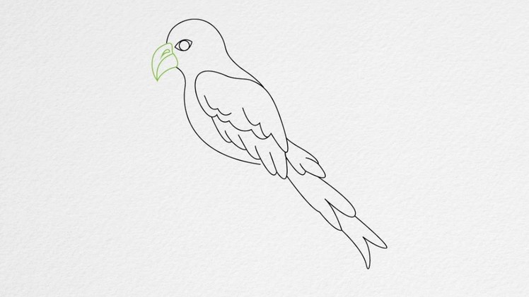 How to draw a PARROT step by step