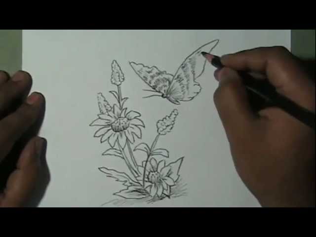How to draw beautiful flower and butterfly