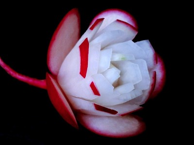 Art In Red Radish Simple Flower Ideas - Beginners L 28 By Mutita Art Of Fruit Or Vegetable Carving