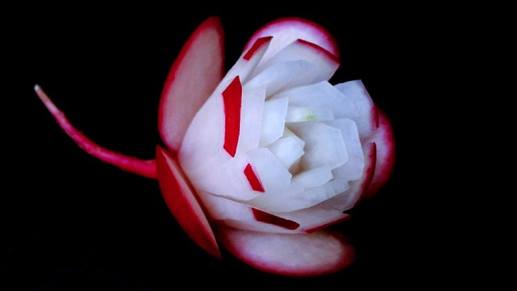 Art In Red Radish Simple Flower Ideas - Beginners L 28 By Mutita Art Of Fruit Or Vegetable Carving