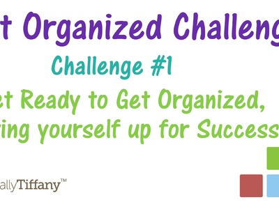 Challenge #1 - Get Ready to Get Organized, Summer 2014