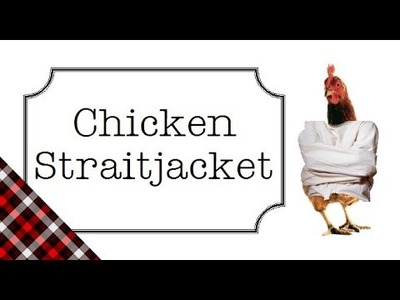 Chicken Straitjacket -- DIY, no-sew