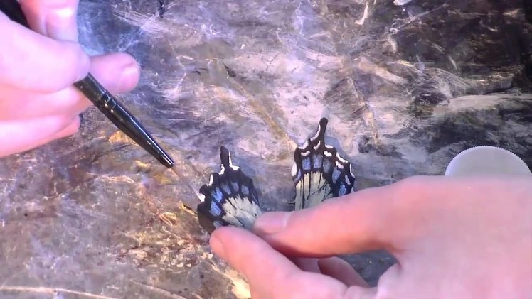 How to Make Tiger Swallowtail Leather Wing Earrings Time Lapse Tutorial