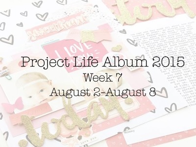 Project Life Process: Week 7