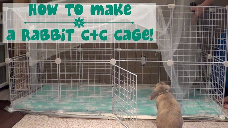 HOW TO BUILD A RABBIT CAGE