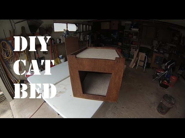 DIY Cat Bed For Under $20 Dollars