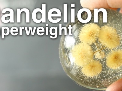 Dandelion Paperweights!! + Giveaway!! [CLOSED]