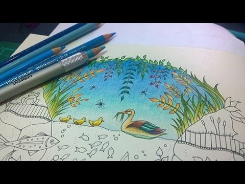 Colouring Tutorial: Colour With Peta.  Duck Pond, Part1.
