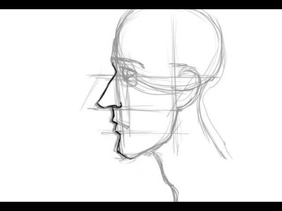 How to Draw the Face in Profile
