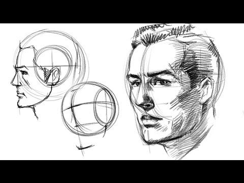 How to Draw the Head