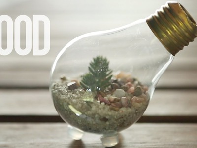 How to Upcycle: Old Lightbulb into Terrarium