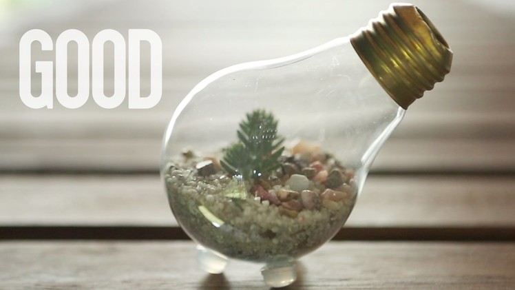 How to Upcycle: Old Lightbulb into Terrarium