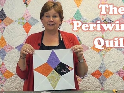 Make a Periwinkle Quilt with the Wacky Web Template!