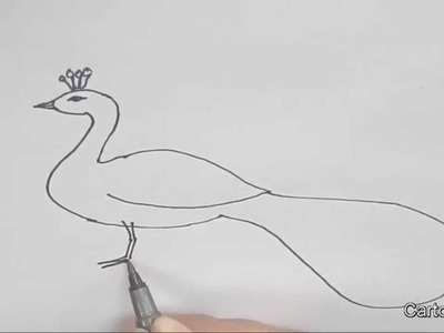 How to draw a Peacock -in easy steps for children, kids, beginners,Step by step.