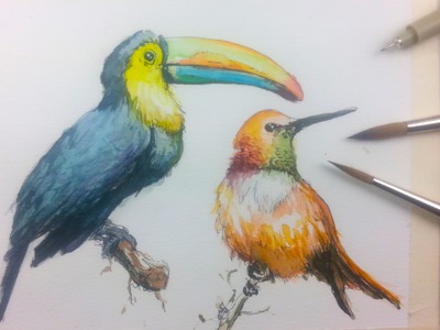 How to Draw & Paint Birds with Ink and Watercolor Part 1
