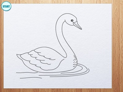 How to draw swan