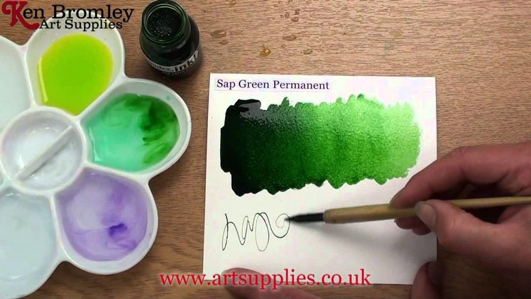 Liquitex Professional Acrylic ink! Sap Green Permanent 315