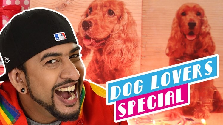 Mad Stuff With Rob - Dog Lovers Special | International Mutts Day