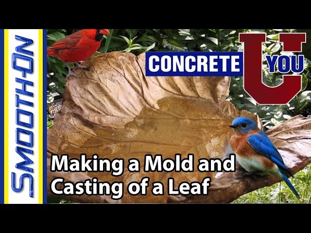 Make a Concrete Leaf Mold - Smooth-On Molds of Nature