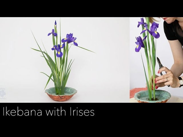 Online tutorial: Ikebana arrangement with Irises