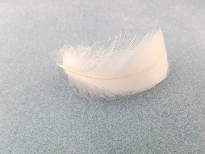 Beading4perfectionists: Found feathers preparation and blow dry for jewelry
