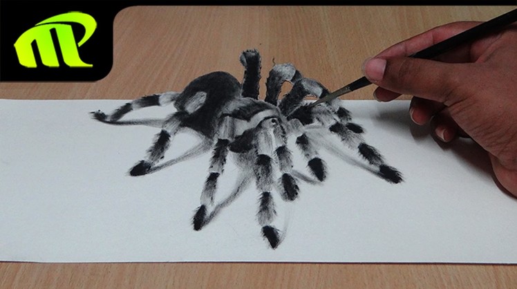 How to Draw 3D Spider - Anamorphic Illusion | Tarantula | Trick Art