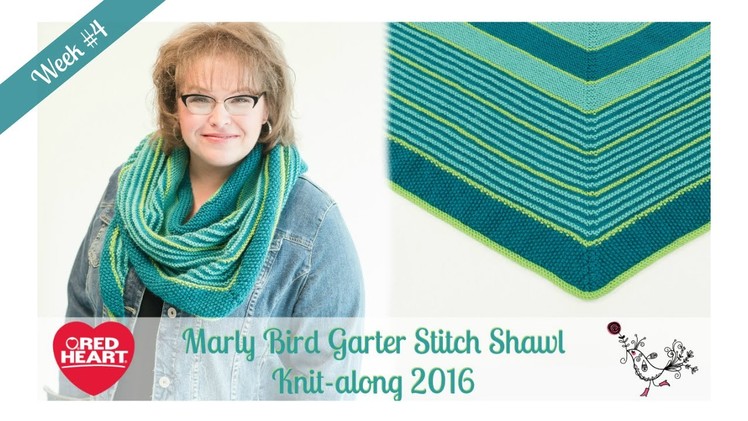 Marly Bird Garter Stitch Shawl Knitalong Week 4