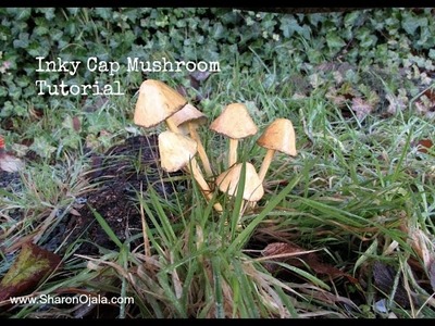 Inky Cap Mushroom Tutorial