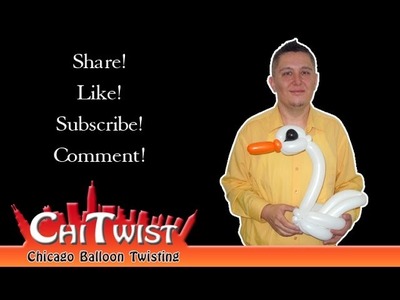 Swan Balloon Animal Instructions  | ChiTwist Chicago Balloon Twisting