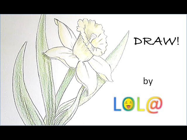 {Tuto #6} How to Draw a Daffodil